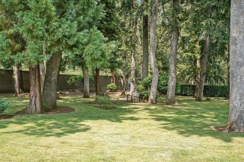 A park-like setting with tall trees, a green lawn, and a wooden bench situated among the trees.